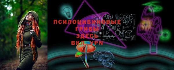PSILOCYBIN Гусиноозёрск