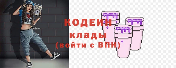 шишки Гусь-Хрустальный