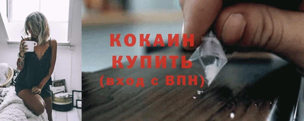 шишки Гусь-Хрустальный