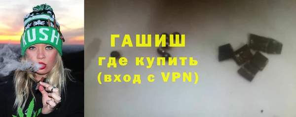 PSILOCYBIN Гусиноозёрск