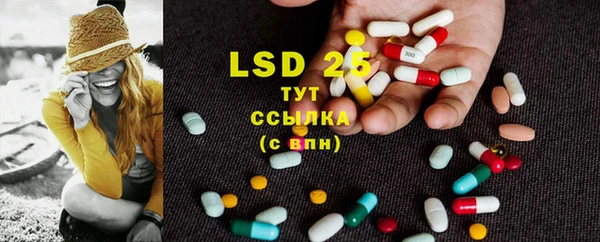 PSILOCYBIN Гусиноозёрск
