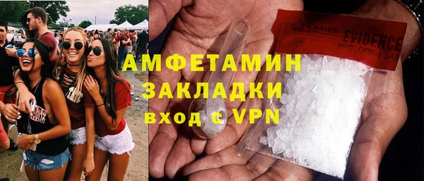 шишки Гусь-Хрустальный