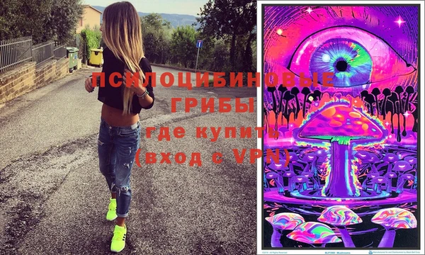 мдпв Горняк