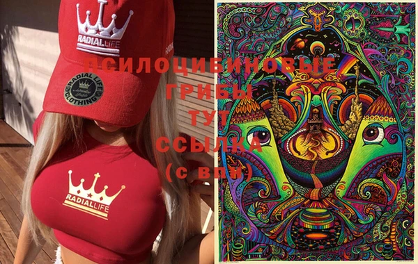 PSILOCYBIN Гусиноозёрск