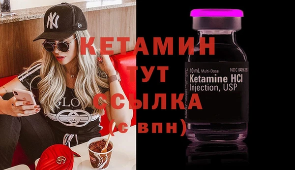 шишки Гусь-Хрустальный