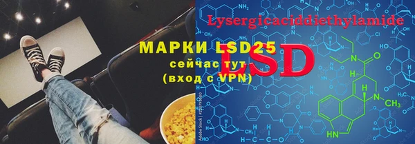 шишки Гусь-Хрустальный