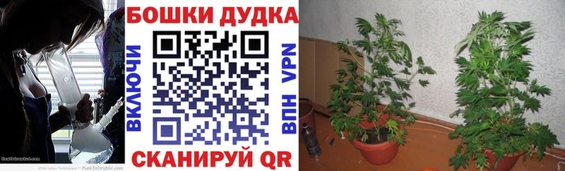 Шишки марихуана гибрид  Меленки 